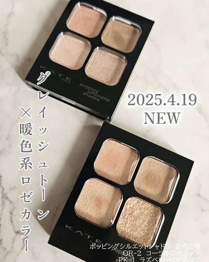 ケイト ポッピングシルエットシャドウ/KATE/アイシャドウパレットを使ったクチコミ(1枚目)