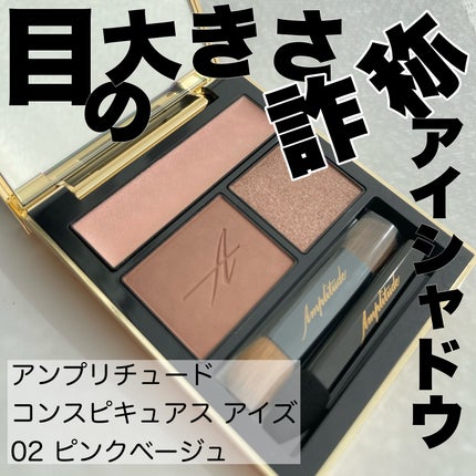 コンスピキュアス アイズ/Amplitude/アイシャドウパレットを使ったクチコミ(1枚目)