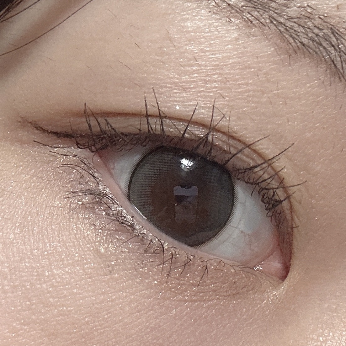 エレガンス コフレ パルピタン/Elégance/メイクアップキットを使ったクチコミ（2枚目）