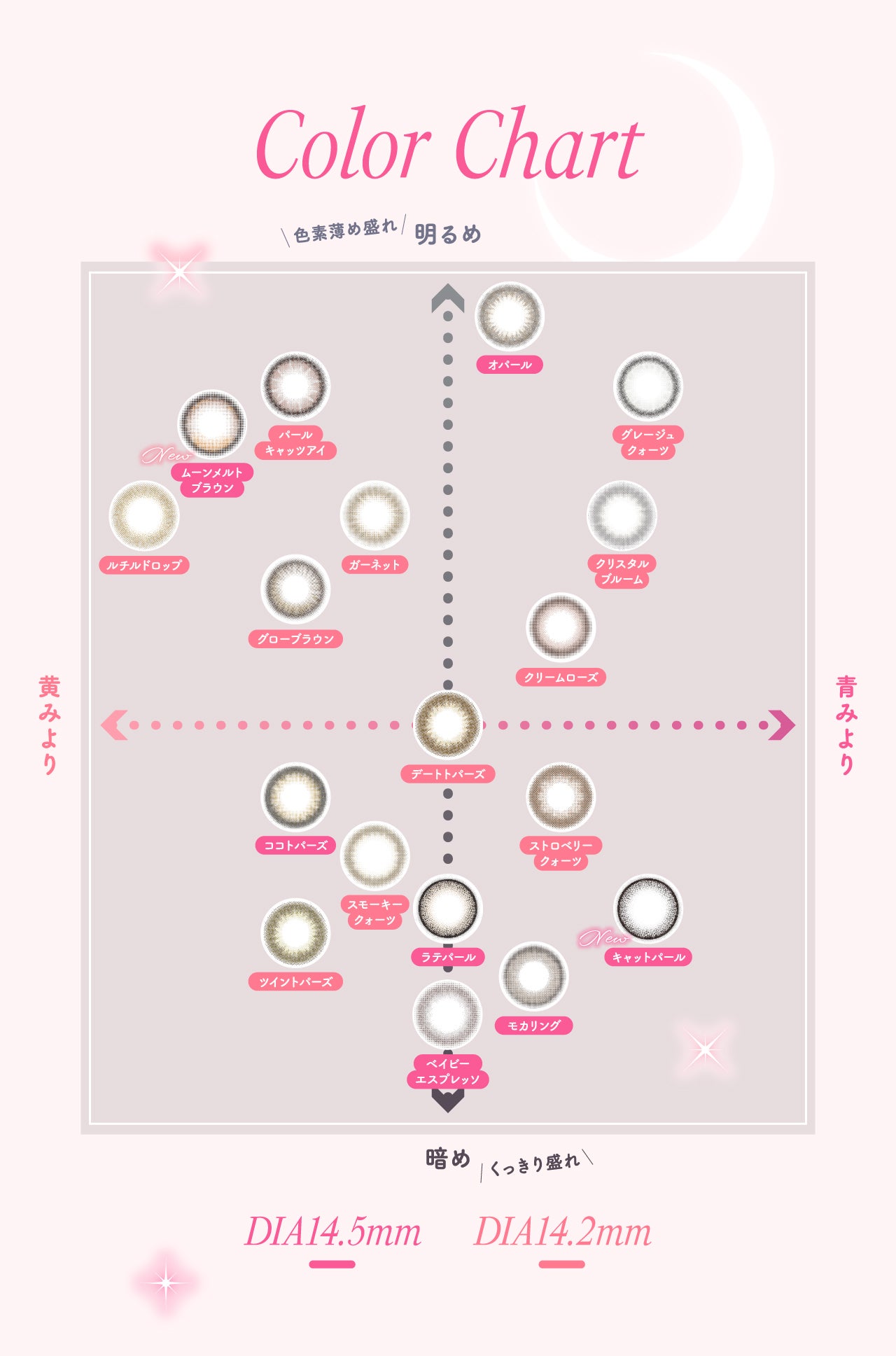 TOPARDS 1day TOPARDS