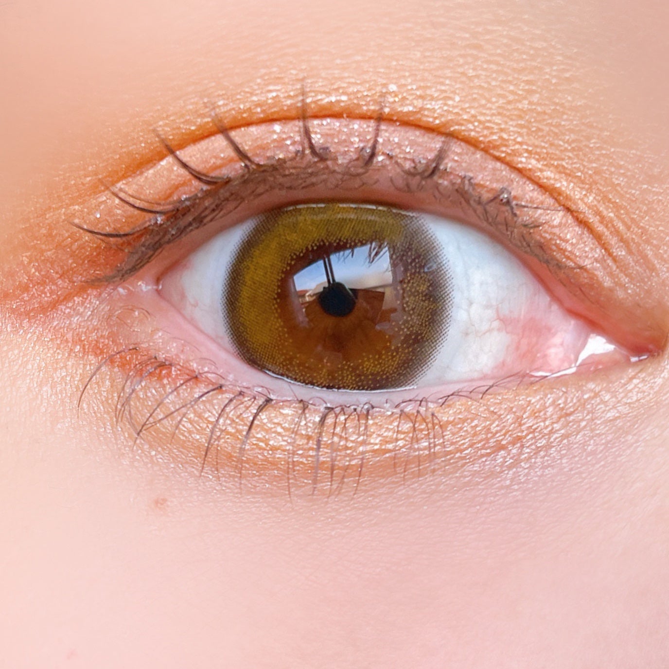 ベージュトーンアイシャドウ/CEZANNE/アイシャドウパレットを使ったクチコミ(5枚目)