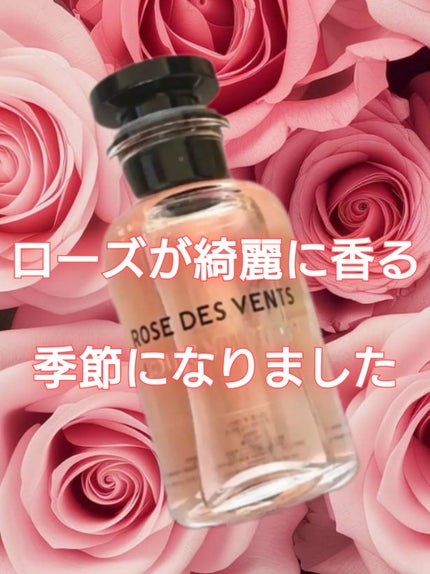 試してみた】ROSE DES VENTS (ローズ・デ・ヴァン) ルイ 試してみた】ROSE DES VENTS (ローズ・デ・ヴァン) ルイ
