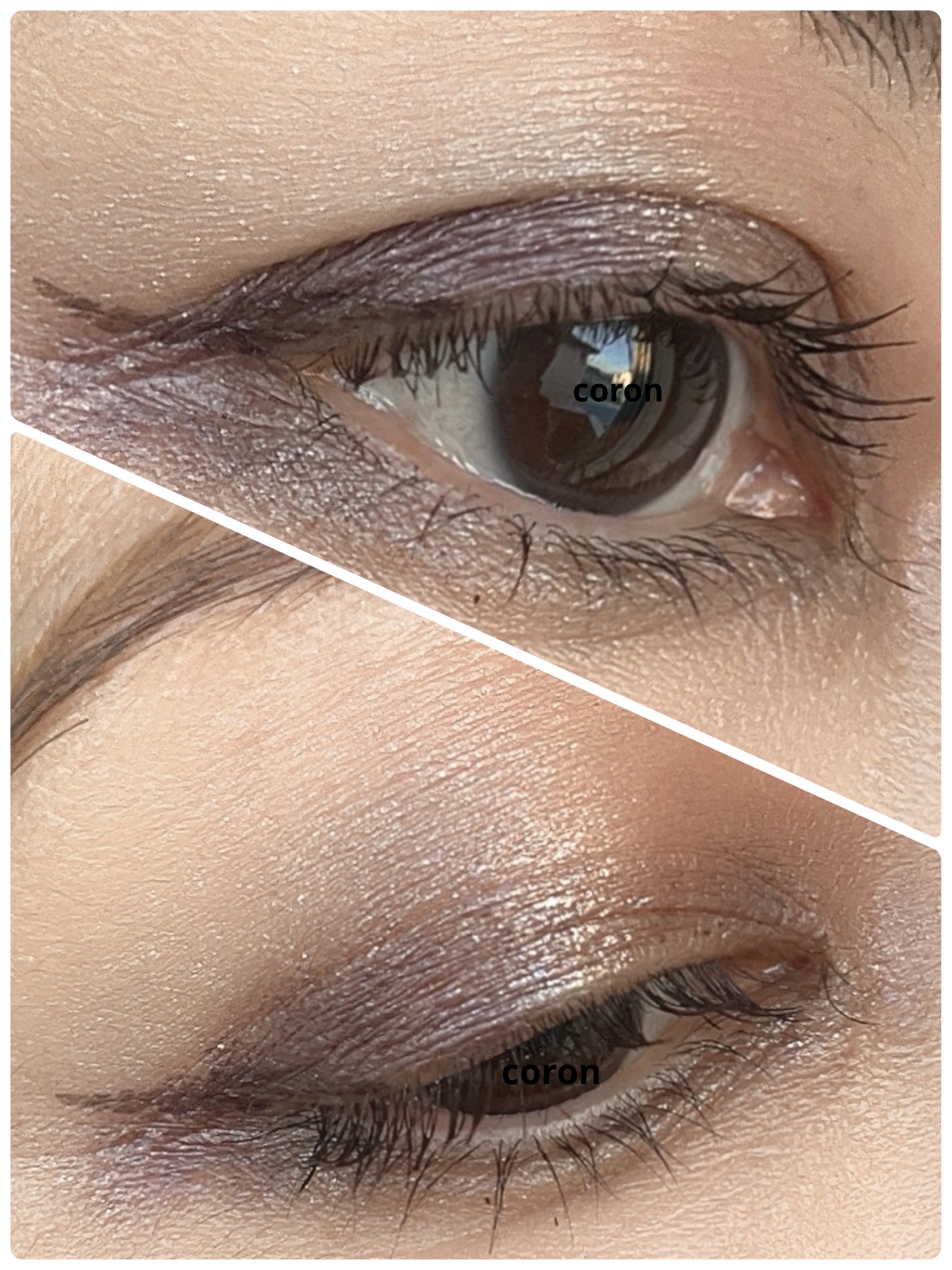 パーフェクトエクステンション マスカラ/D-UP/マスカラを使ったクチコミ（2枚目）