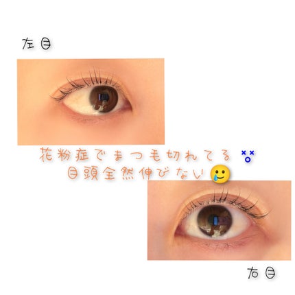 ラッシュジェリードロップ EX/MAJOLICA MAJORCA/まつげ美容液を使ったクチコミ(4枚目)