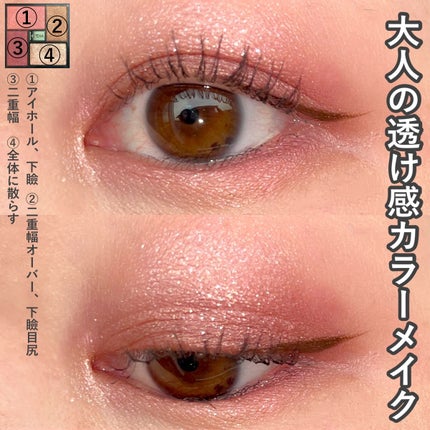 エクシア アイカラー ヴォロンテ/ALBION/アイシャドウパレットを使ったクチコミ(7枚目)