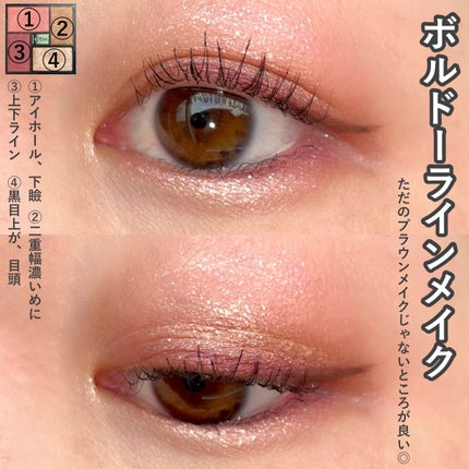 エクシア アイカラー ヴォロンテ/ALBION/アイシャドウパレットを使ったクチコミ(8枚目)