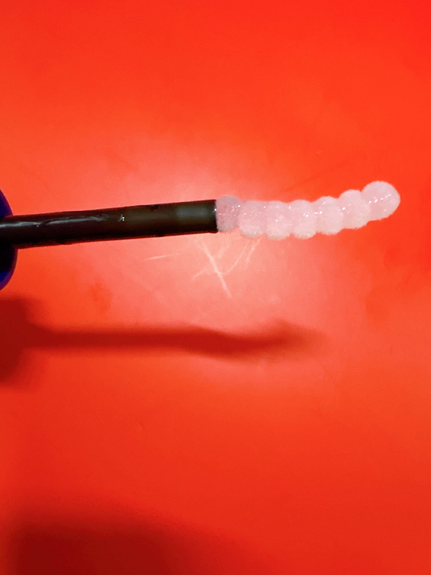 まつげ美容液リッチプラス/CEZANNE/まつげ美容液を使ったクチコミ(5枚目)