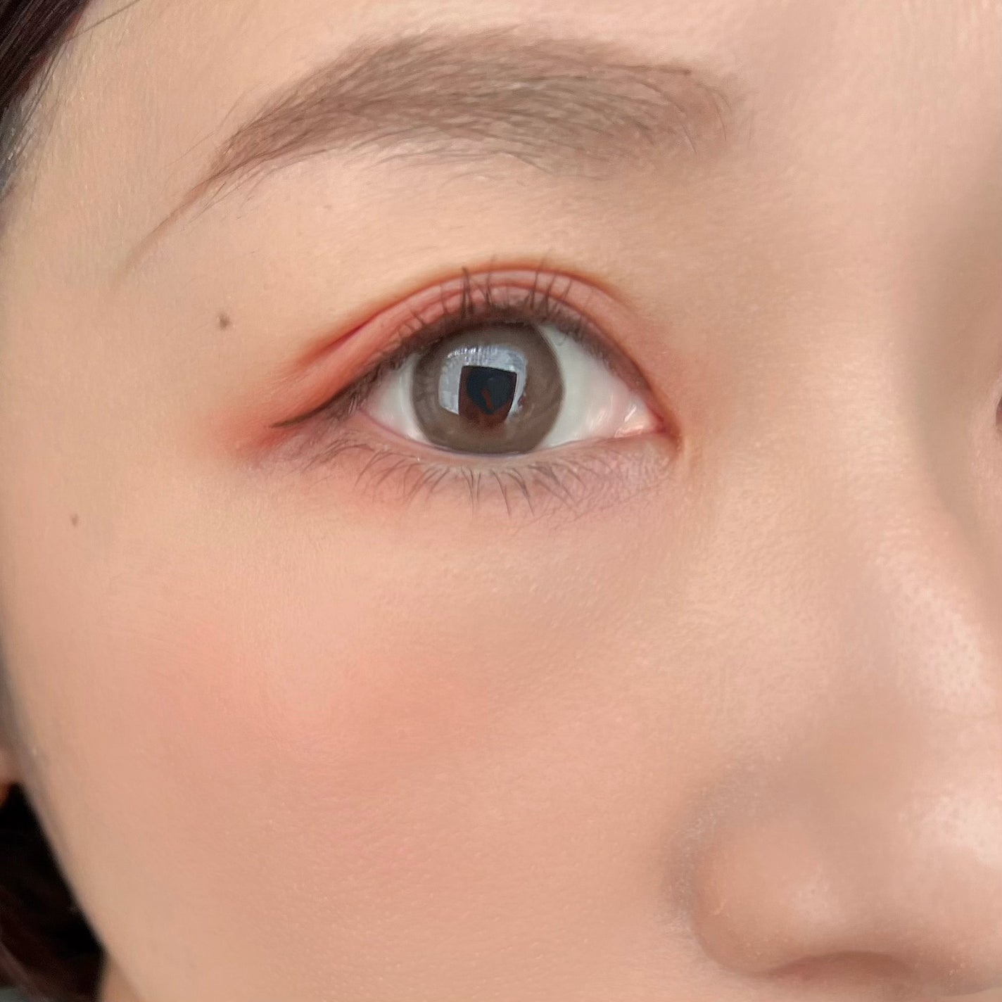 シャドウパレット/dasique/アイシャドウパレットを使ったクチコミ(5枚目)