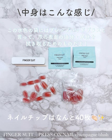 ネイルチップ(シールタイプ) Champagne Blush/FINGER SUIT/ネイルチップ・パーツの画像