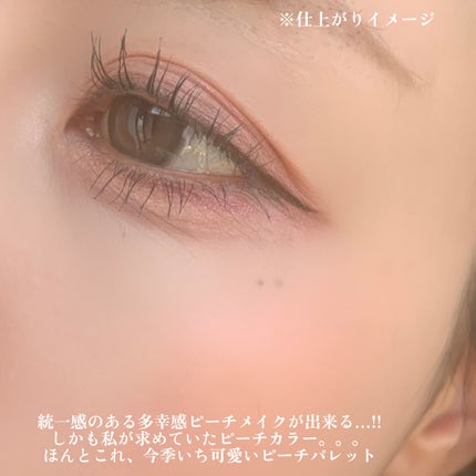 ソフトシアーマルチパレット/wakemake/アイシャドウパレットを使ったクチコミ(9枚目)