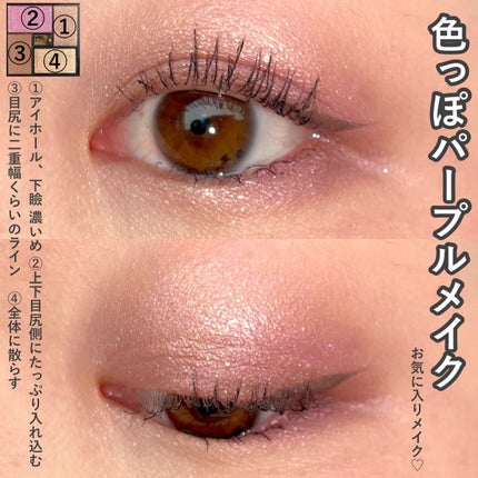 エクシア アイカラー ヴォロンテ/ALBION/アイシャドウパレットを使ったクチコミ(10枚目)