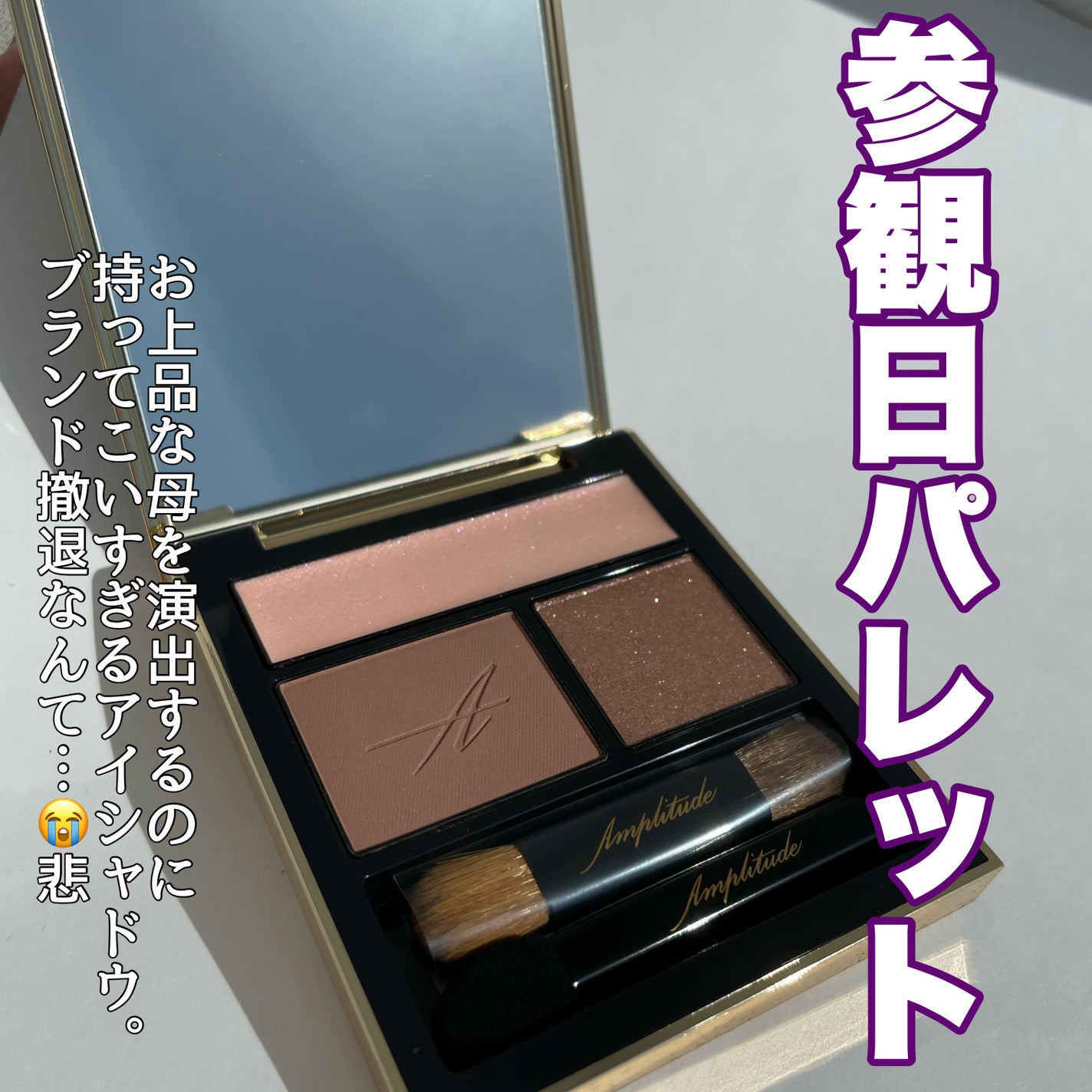 コンスピキュアス アイズ/Amplitude/アイシャドウパレットを使ったクチコミ(2枚目)