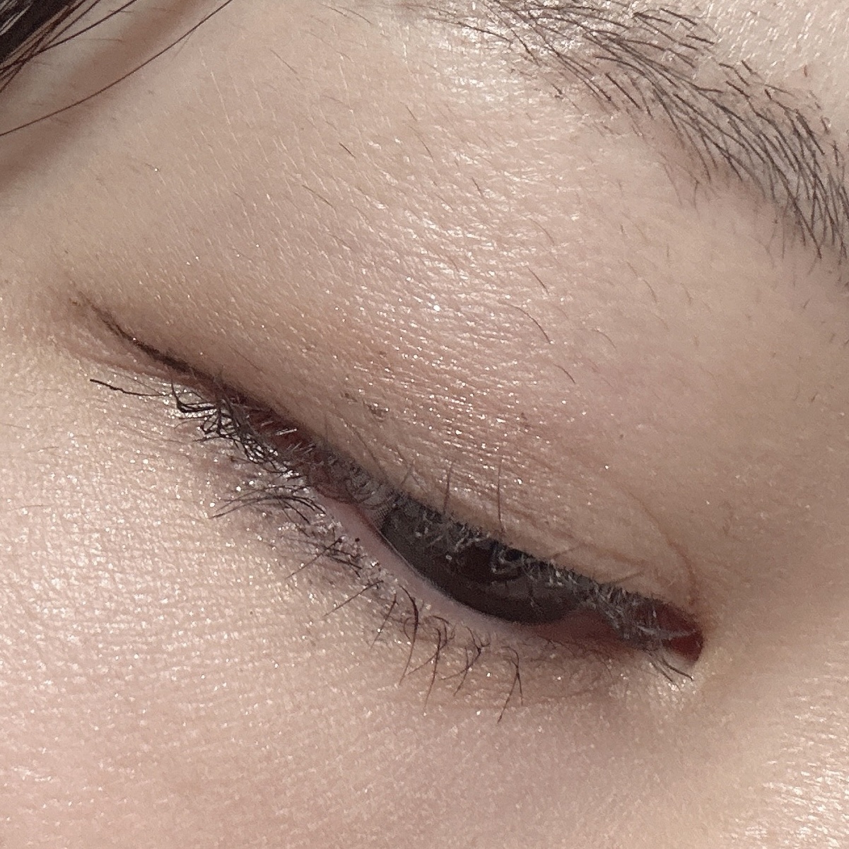 エレガンス コフレ パルピタン/Elégance/メイクアップキットを使ったクチコミ（3枚目）