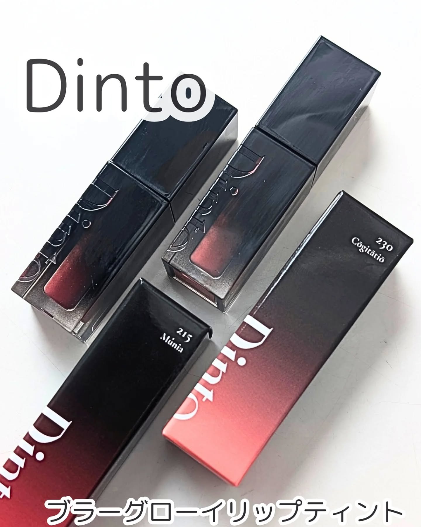 ブラーグロイリップティント/Dinto/リップティントを使ったクチコミ（1枚目）