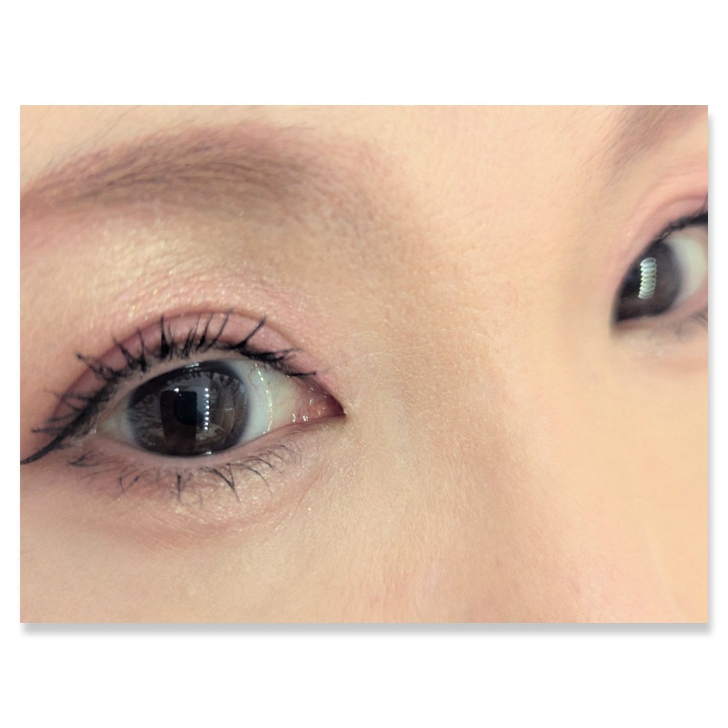 ショコラスウィート アイズ/リンメル ロンドン/アイシャドウパレットを使ったクチコミ(2枚目)