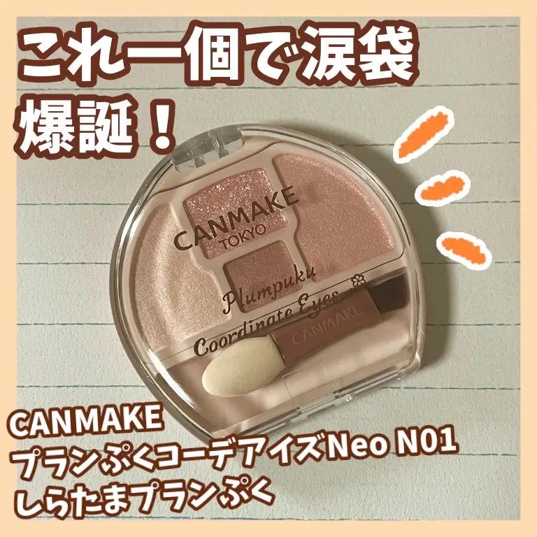 プランぷくコーデアイズ/キャンメイク/パウダーアイシャドウを使ったクチコミ(3枚目)