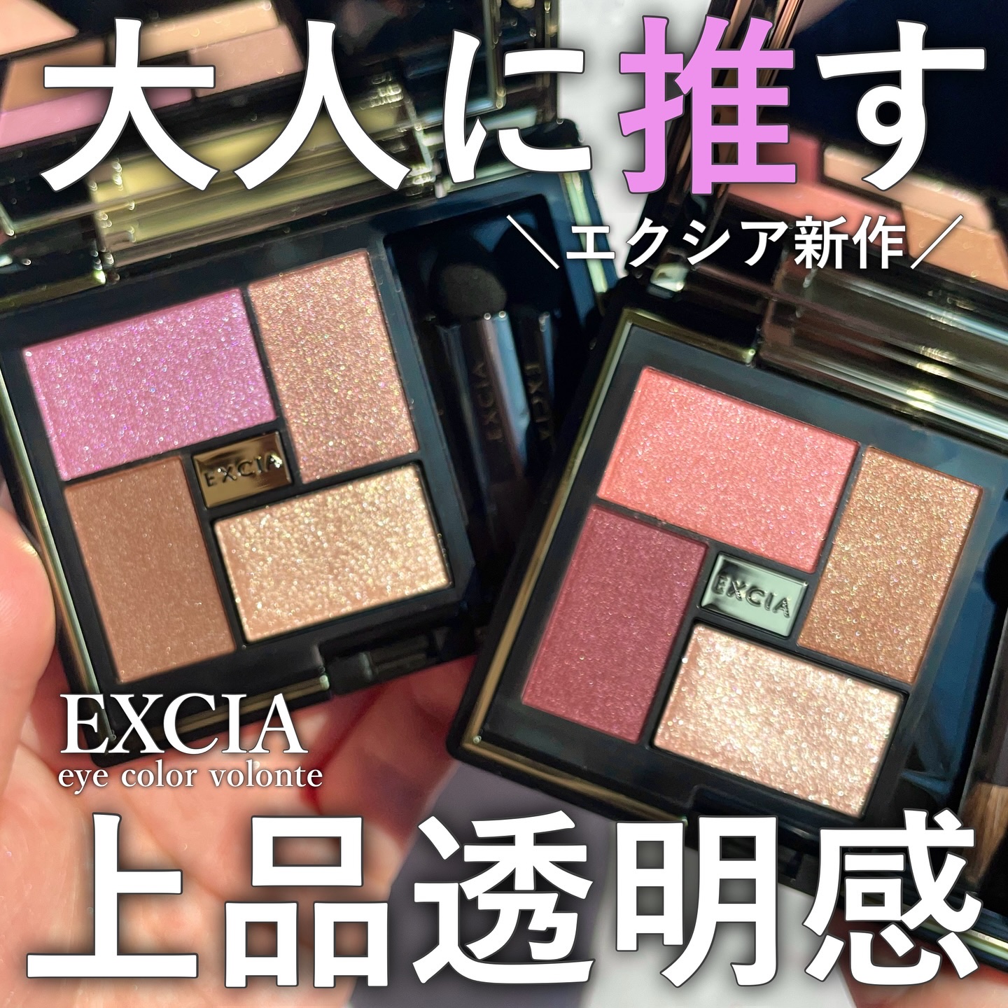 エクシア アイカラー ヴォロンテ/ALBION/アイシャドウパレットを使ったクチコミ（1枚目）