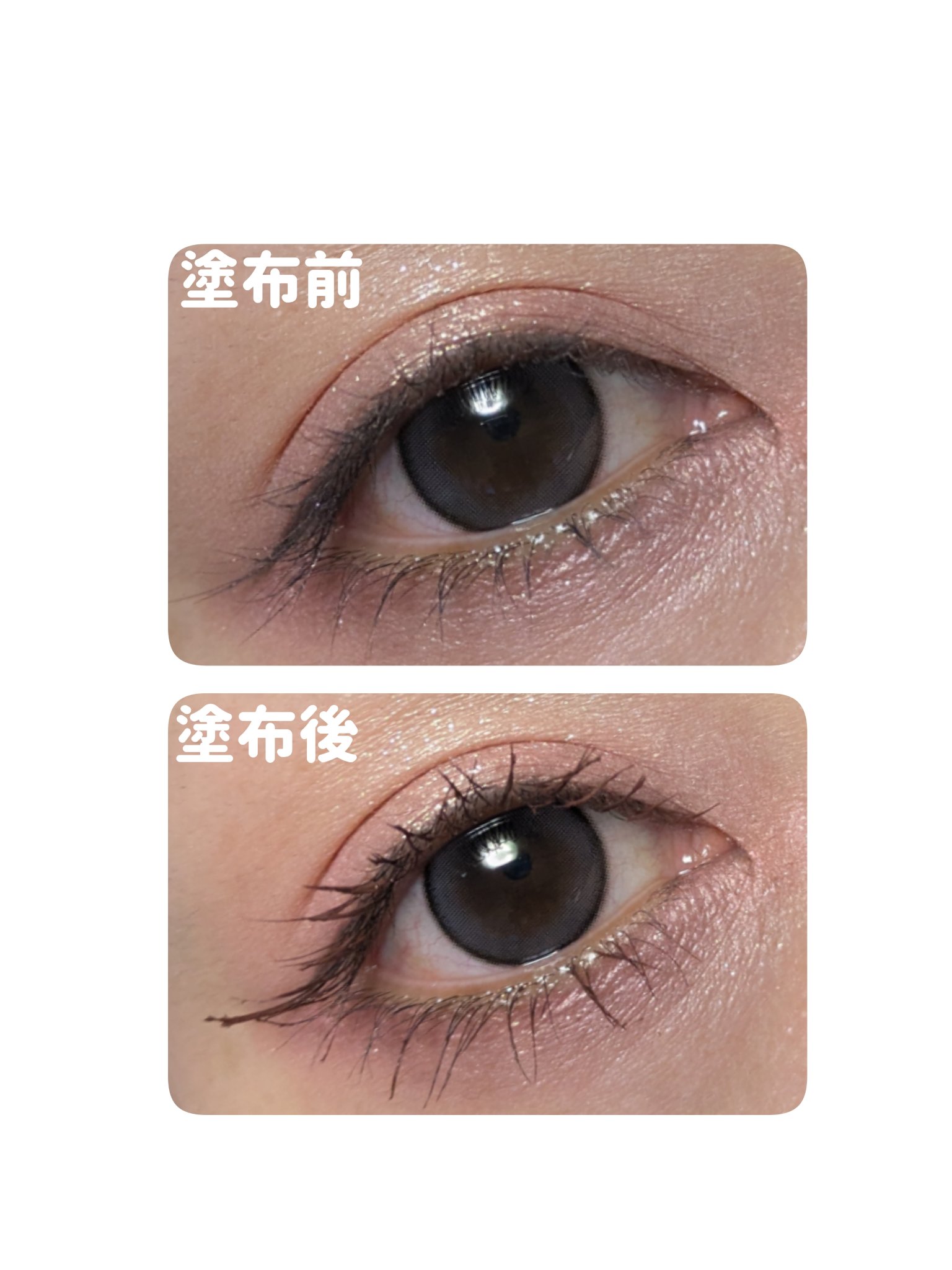 ブルーミングラッシュ　フィルムカーラー/JILL STUART/マスカラを使ったクチコミ（3枚目）