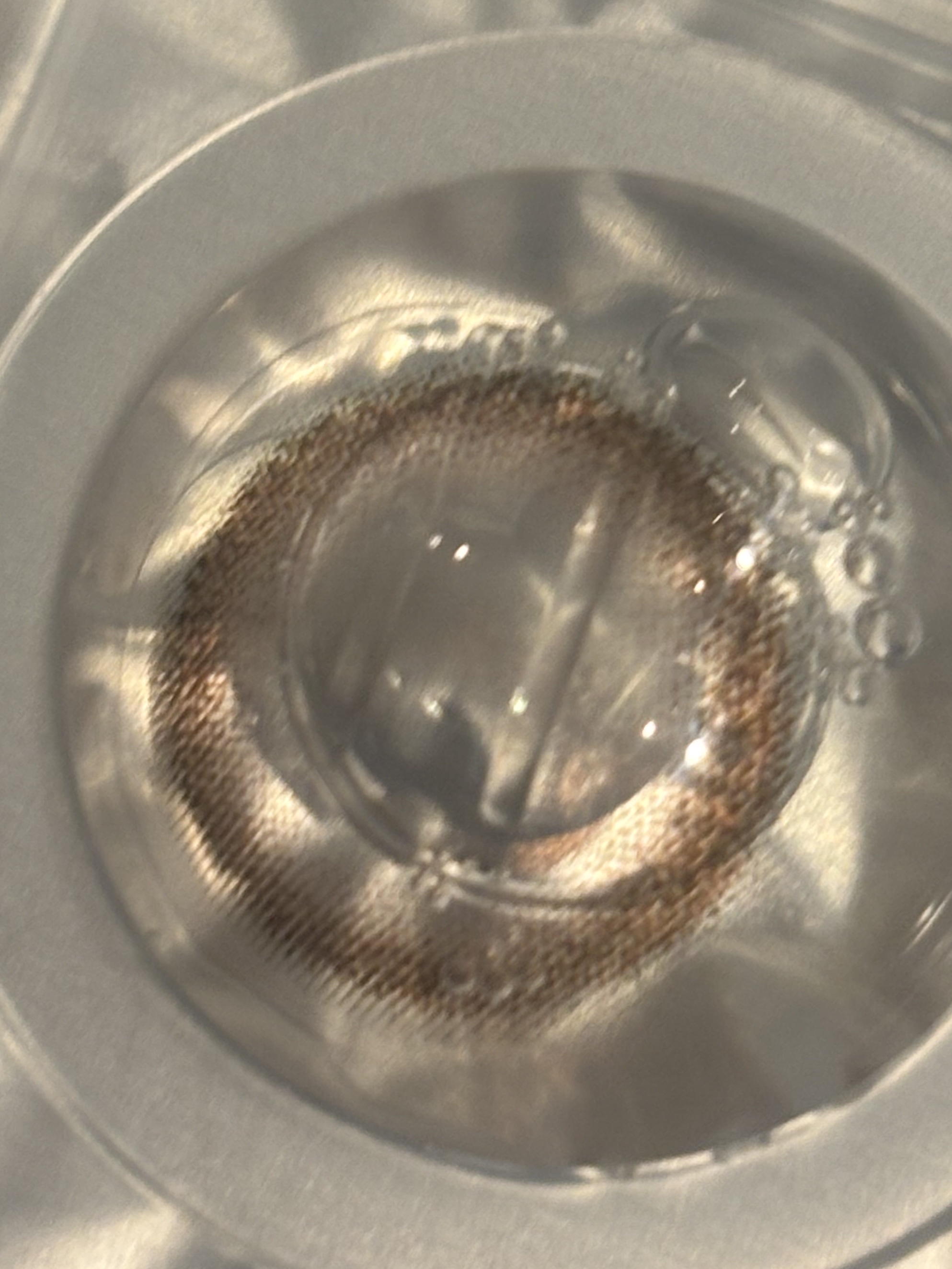 Chu's me monthly/Chu's me/１ヶ月（１MONTH）カラコンを使ったクチコミ（3枚目）