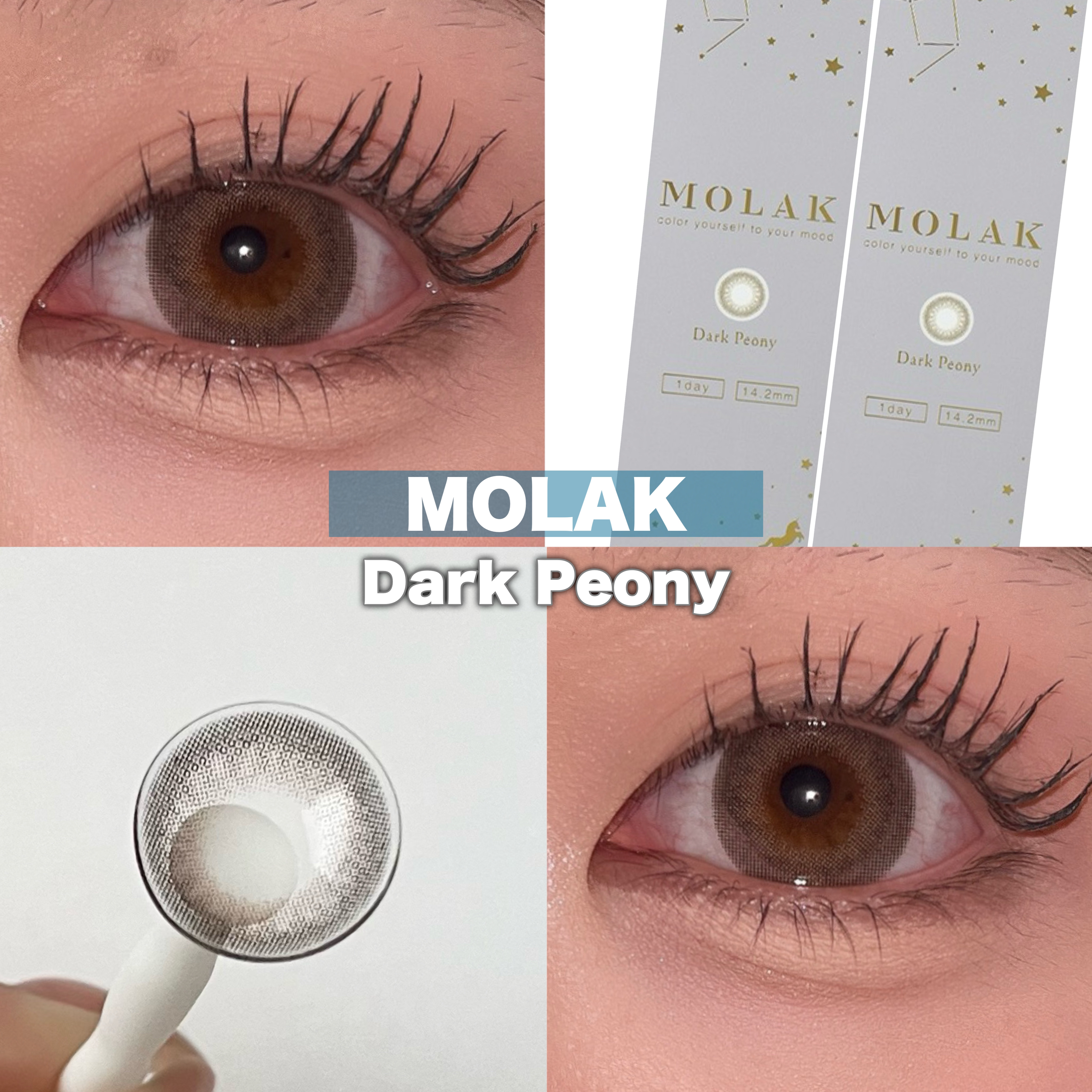 MOLAK 1day ダークピオニー/MOLAK/ワンデー（１DAY）カラコンを使ったクチコミ（1枚目）