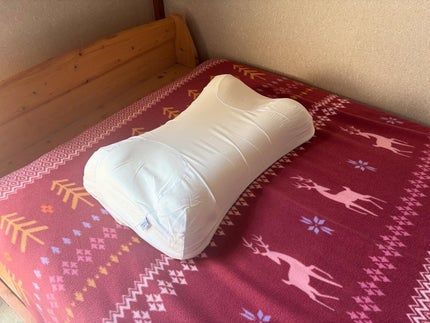 試してみた】オムニア枕(枕カバー付き) Sleep&Glowのリアルな 試してみた】オムニア枕(枕カバー付き) Sleep&Glowのリアルな