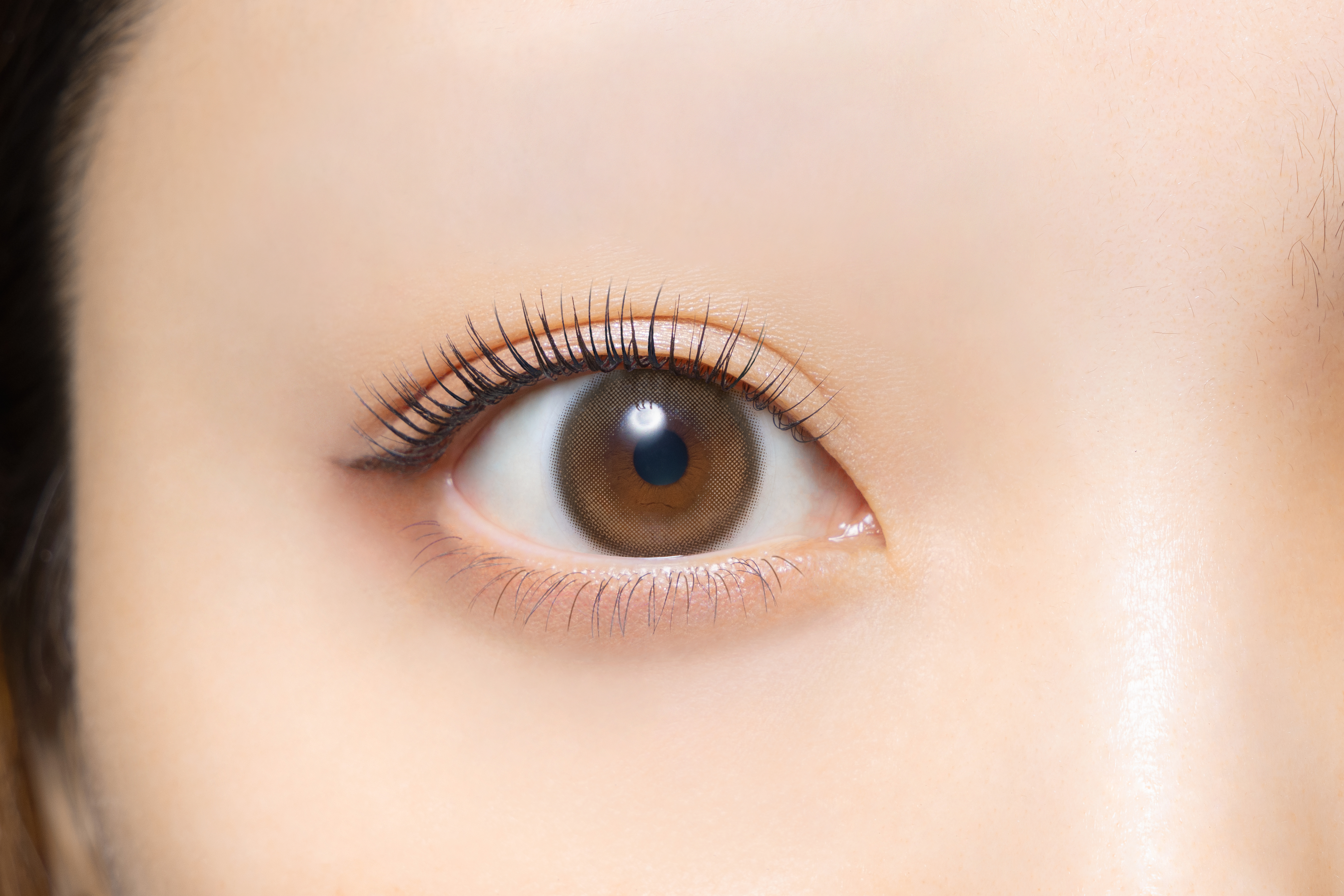 Clainel 1DAY ムーンブラウン