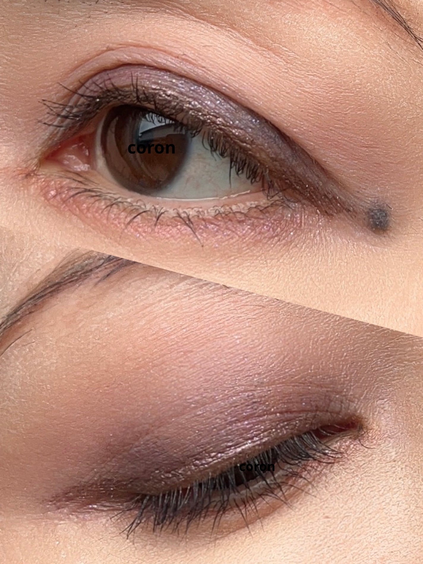 「塗るつけまつげ」ロングタイプ/デジャヴュ/マスカラを使ったクチコミ(2枚目)