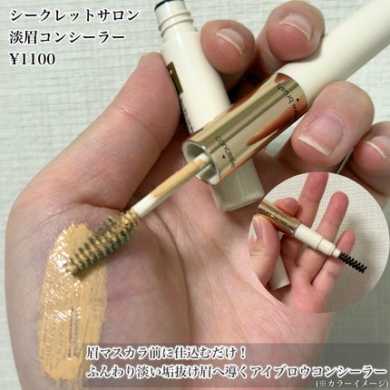 淡眉コンシーラー/シークレットサロン/眉マスカラを使ったクチコミ(2枚目)