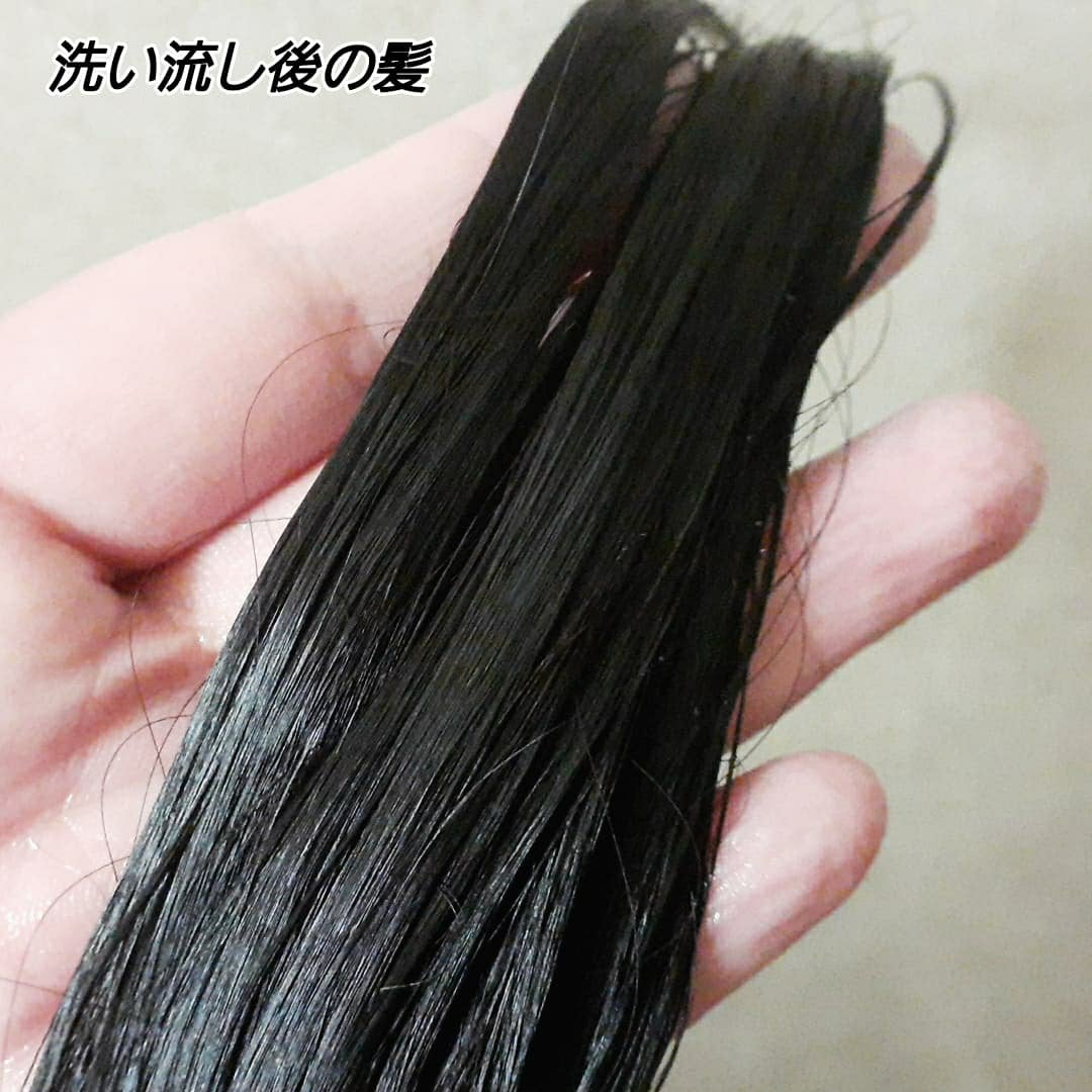 プルント ヴェーリング美容液シャンプー/トリートメント/Purunt./シャンプー・コンディショナーを使ったクチコミ(6枚目)