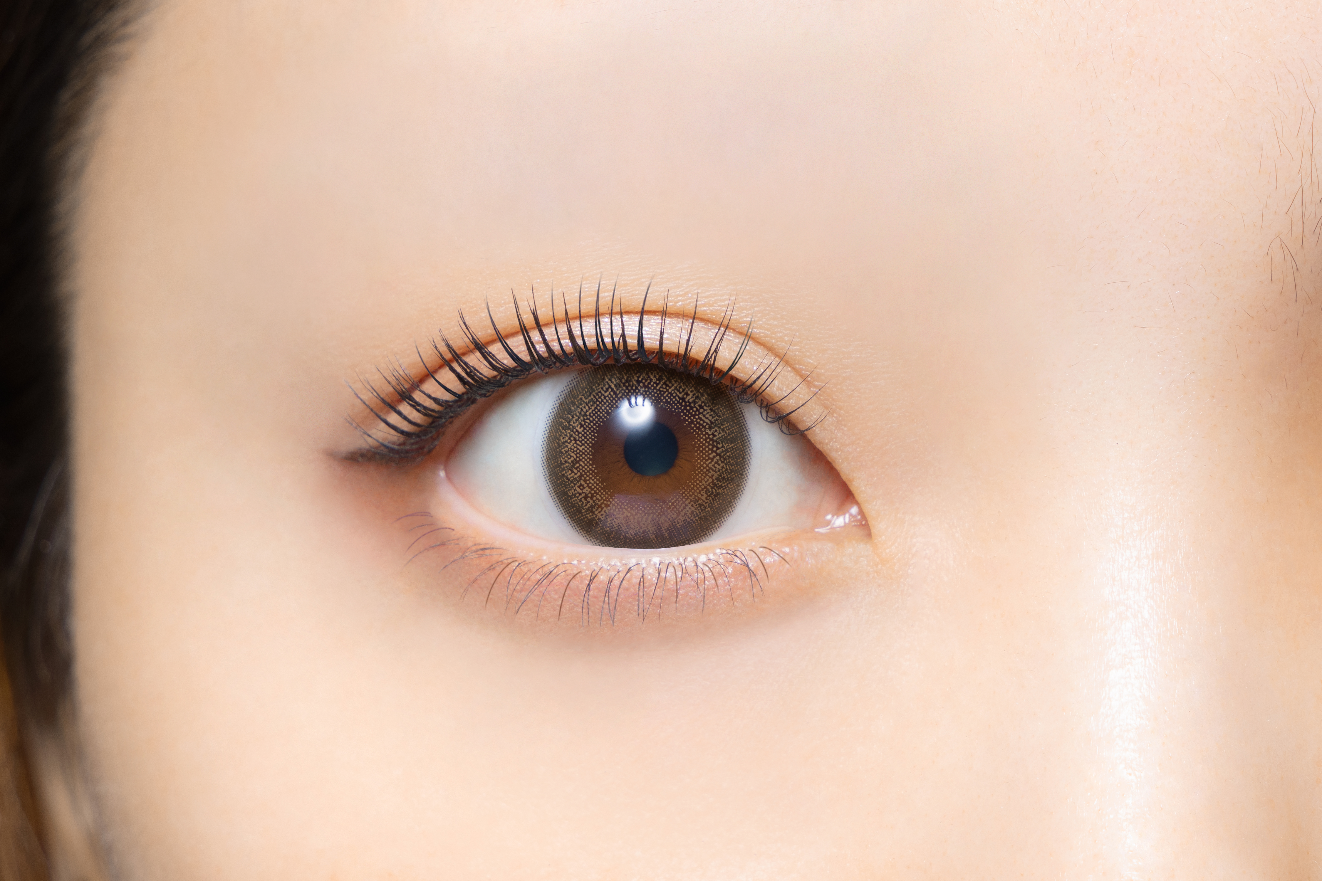 Clainel 1DAY クラシックブラウン