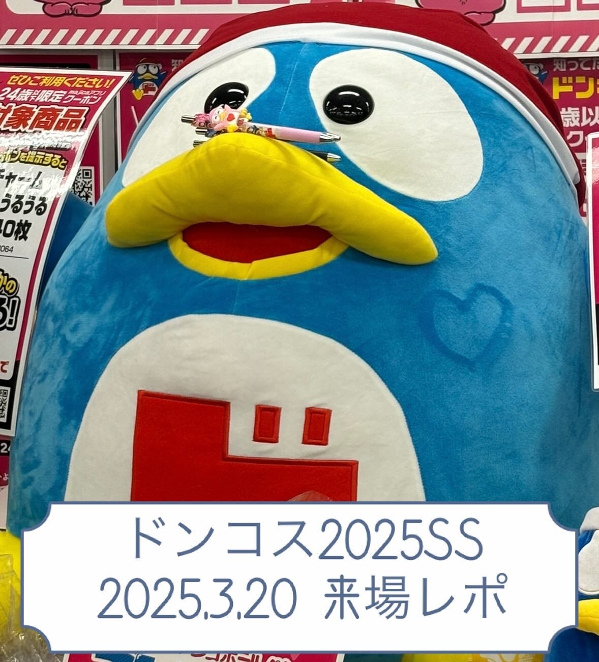せーか on LIPS 「ドンコスフェスティバル 2025SS2025.3.202部 1..」(1枚目)