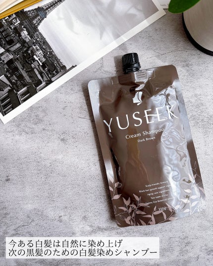 試してみた】YUSEEK クリームシャンプー YUSEEKのリアルな口コミ 試してみた】YUSEEK クリームシャンプー YUSEEKのリアルな口コミ