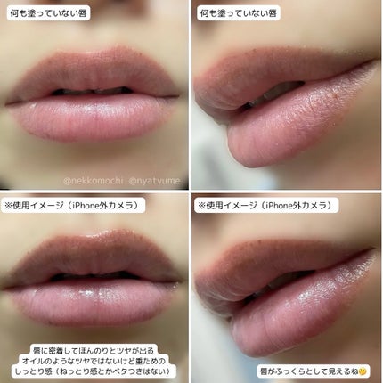リップトリートメント/ミキモト コスメティックス/リップケアを使ったクチコミ(3枚目)