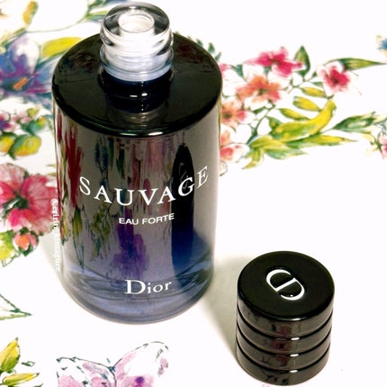 試してみた】Dior ソヴァージュ オー フォルトのリアルな口コミ 試してみた】Dior ソヴァージュ オー フォルトのリアルな口コミ