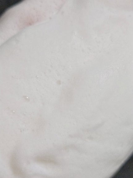 ラクトデュウ S.E.ウォッシング/ラクトデュウ/洗顔フォームを使ったクチコミ(5枚目)