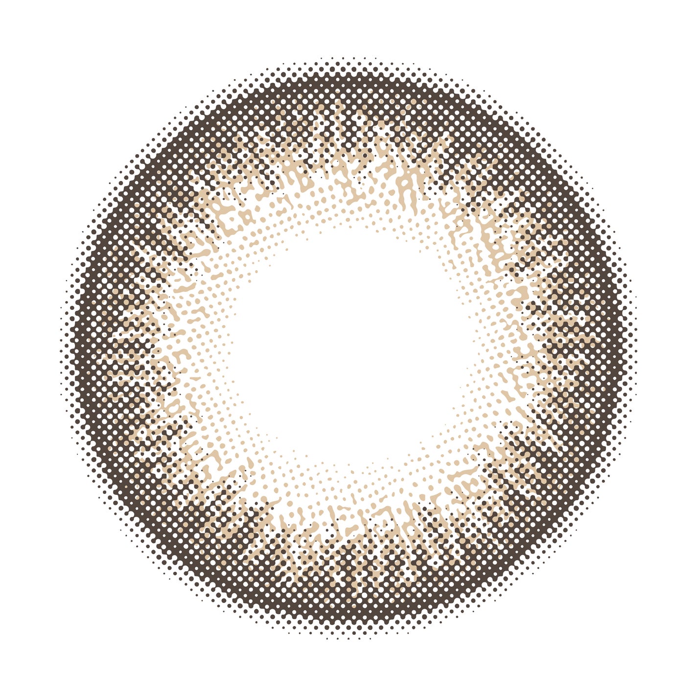 Clainel 1DAY クラシックブラウン