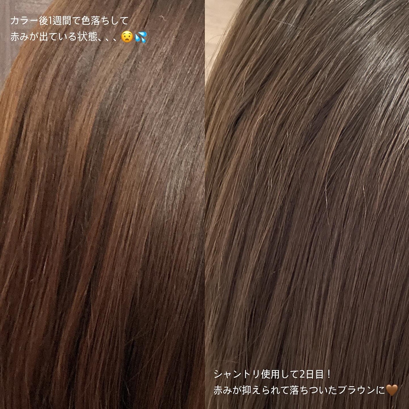 ブルーグロスシャンプー/トリートメント/rasica/市販シャンプーを使ったクチコミ(2枚目)