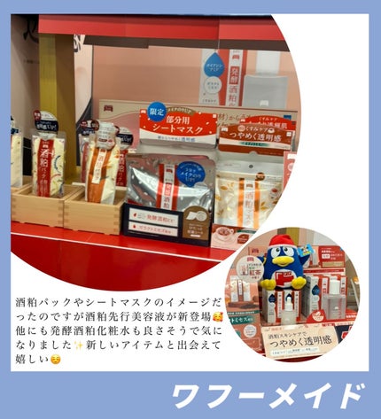 せーか on LIPS 「ドンコスフェスティバル 2025SS2025.3.202部 1..」(4枚目)