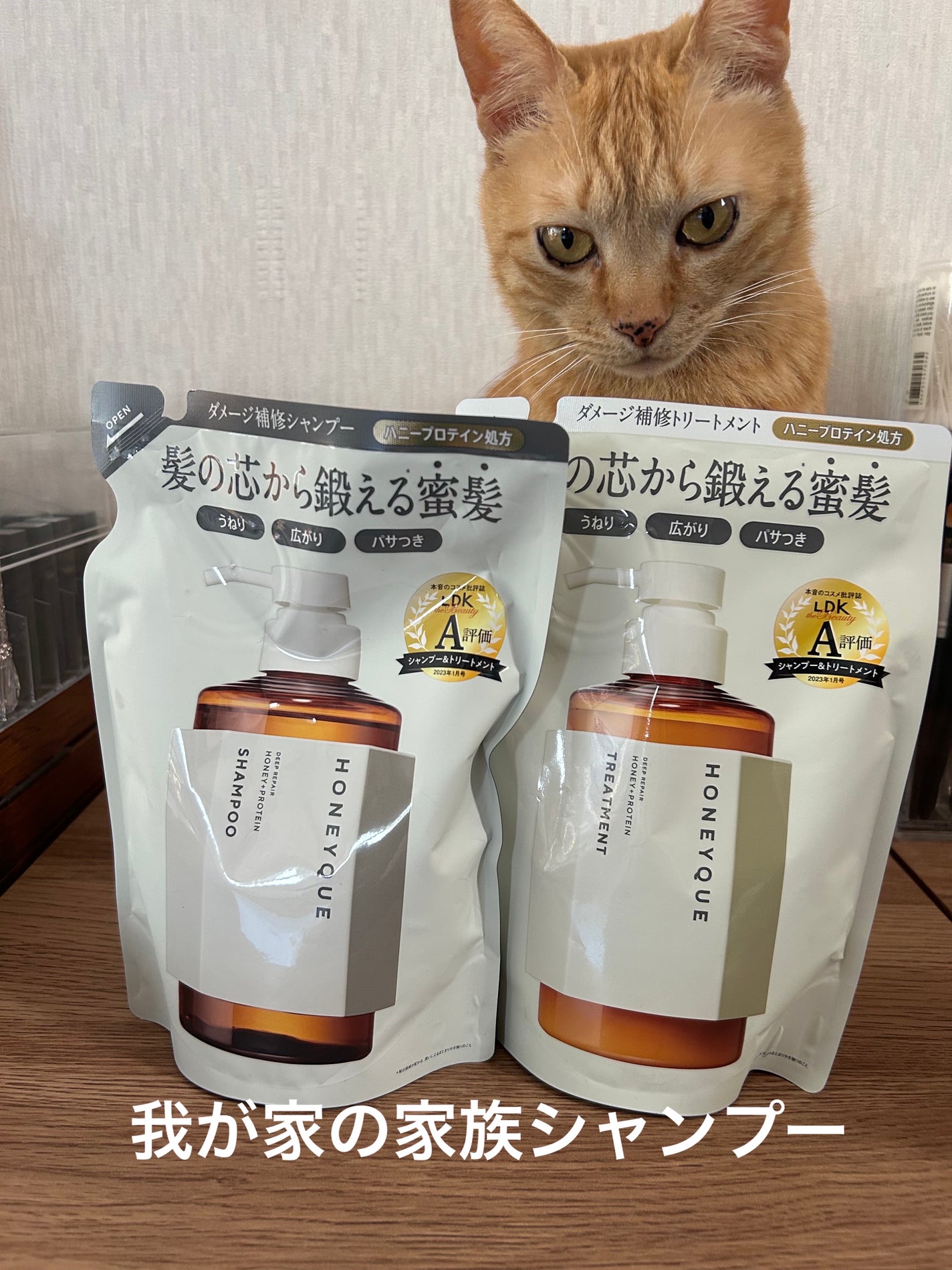 ディープリペア シャンプー モイスト/ヘアトリートメント モイスト/ハニーク/市販シャンプーを使ったクチコミ(1枚目)