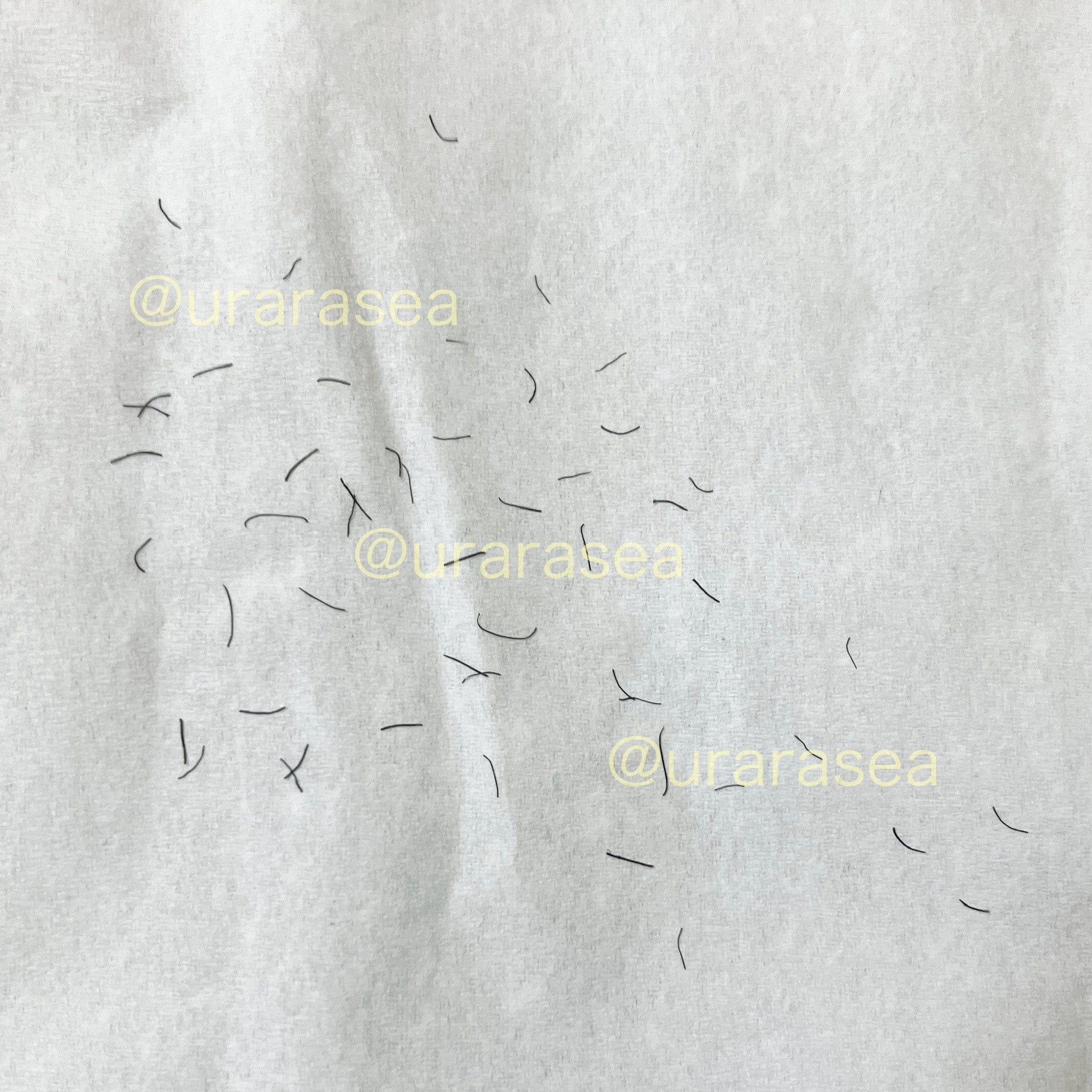 光美容器KE-NON（ケノン）/エムテック/家庭用脱毛器を使ったクチコミ（2枚目）