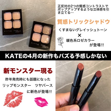 ケイト ポッピングシルエットシャドウ/KATE/アイシャドウパレットを使ったクチコミ(1枚目)