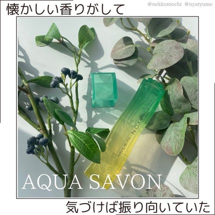 アクア シャボン シトラスフォレストの香り オードトワレ/アクアシャボン/香水(その他)を使ったクチコミ(1枚目)