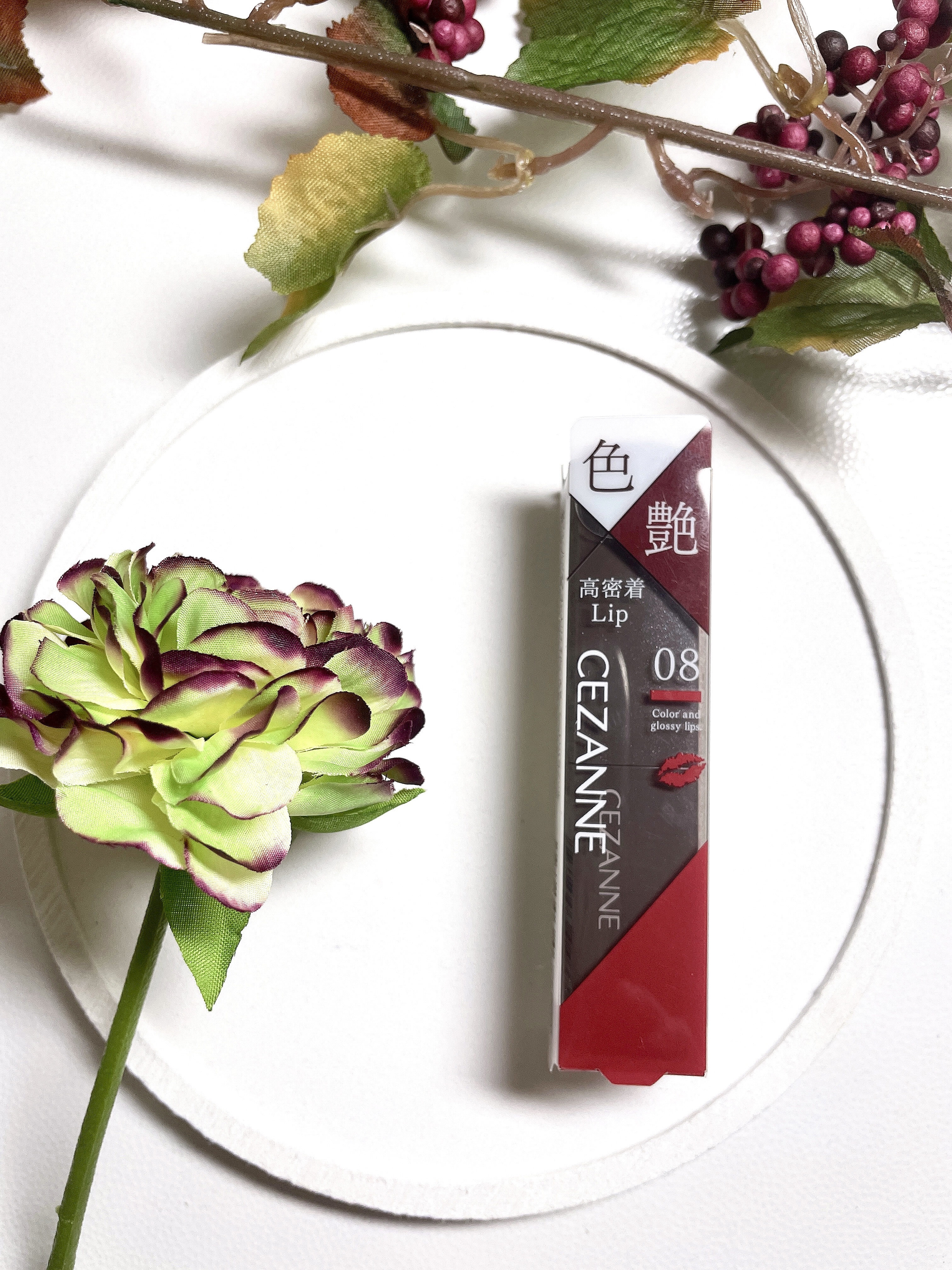 リップカラーシールド/CEZANNE/口紅を使ったクチコミ（1枚目）