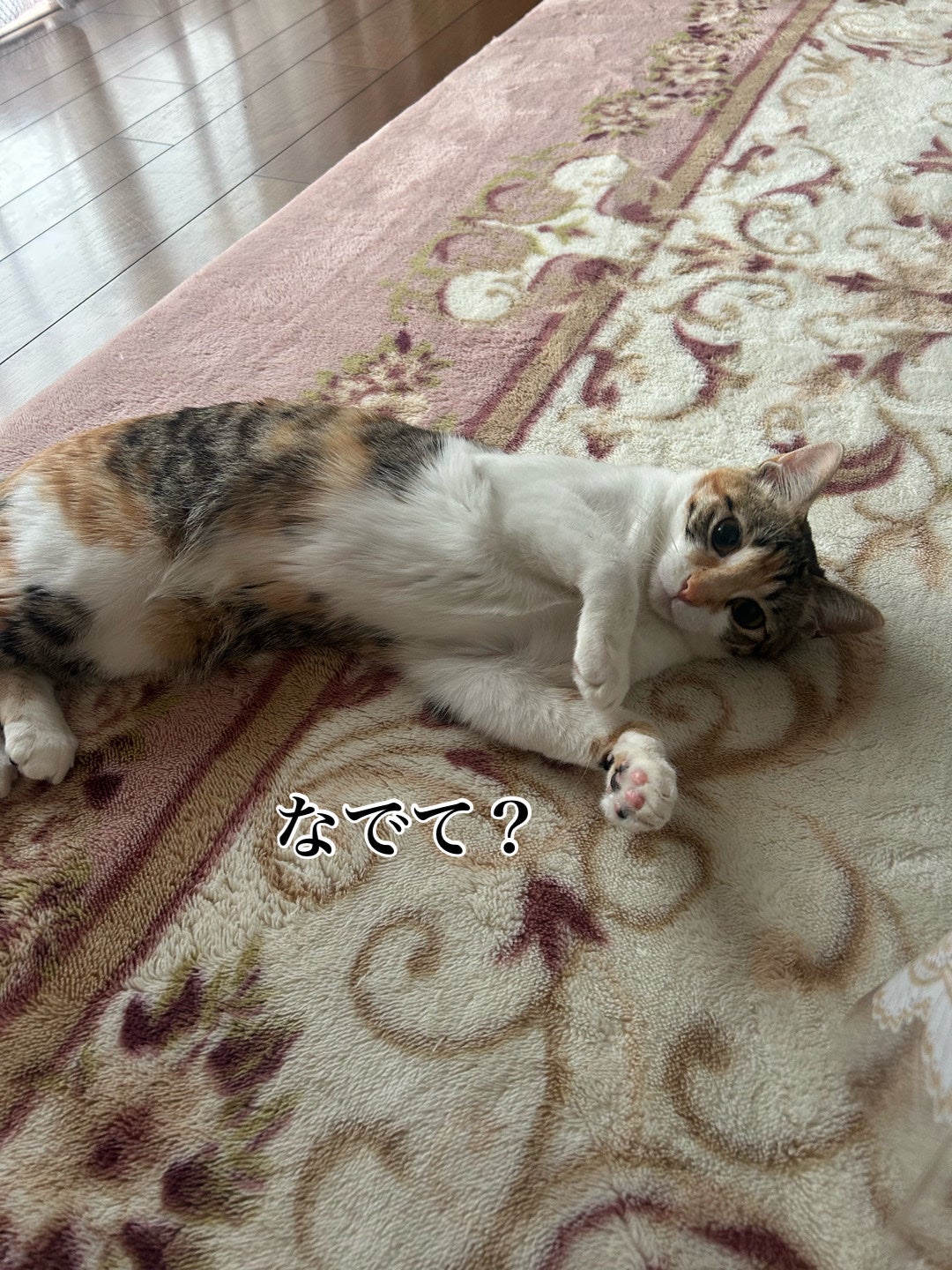 ðââ¬ã«ãããðŸ on LIPS ãã¡ã³ã«ããçºæ
æåéãæãããªã§ãŠæ»æã坿ããŠæºåããããŸã..ãïŒ2æç®ïŒ