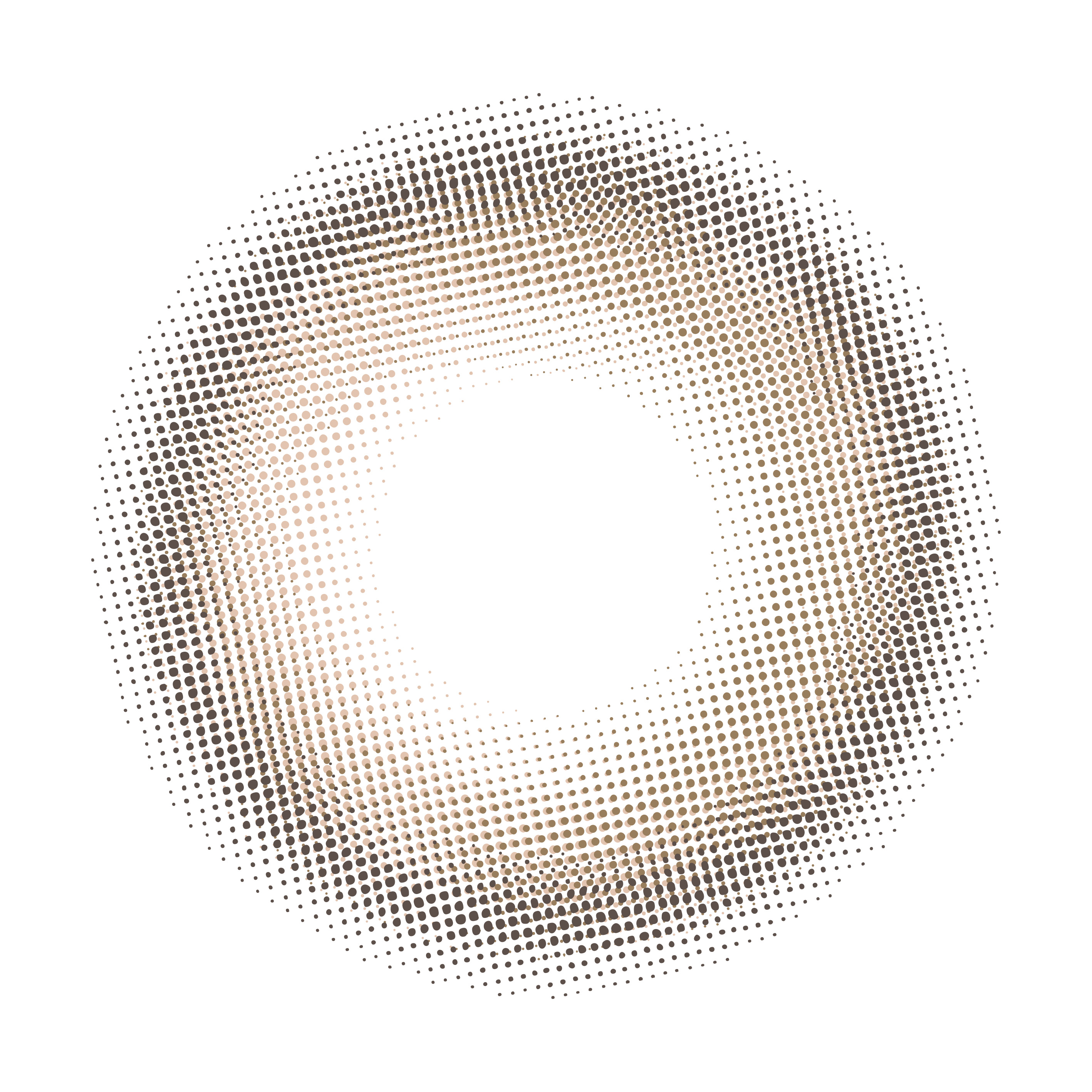 Clainel 1DAY ムーンブラウン