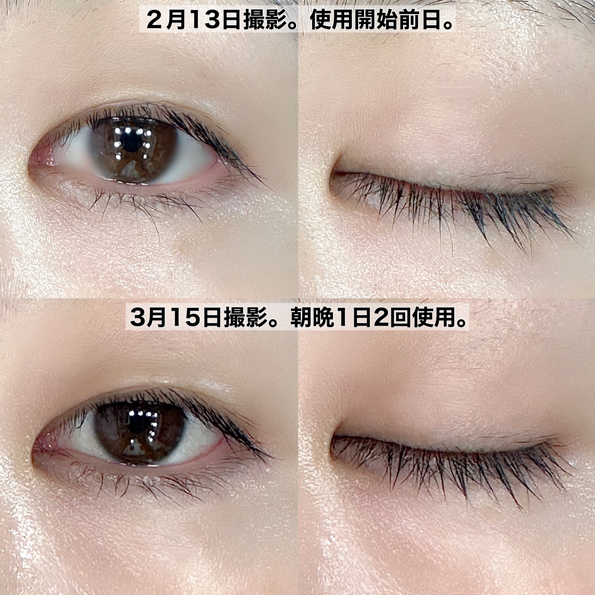 まつ毛 ハリコシアップ美容液/FASIO/まつげ美容液を使ったクチコミ（3枚目）