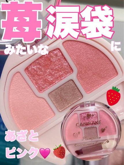 プランぷくコーデアイズ/キャンメイク/パウダーアイシャドウを使ったクチコミ(1枚目)