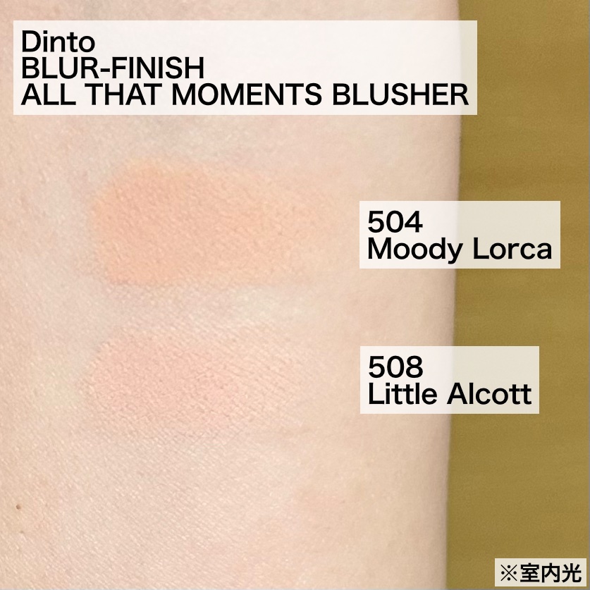 ブラーフィニシュブラッシャー/Dinto/パウダーチークを使ったクチコミ（2枚目）