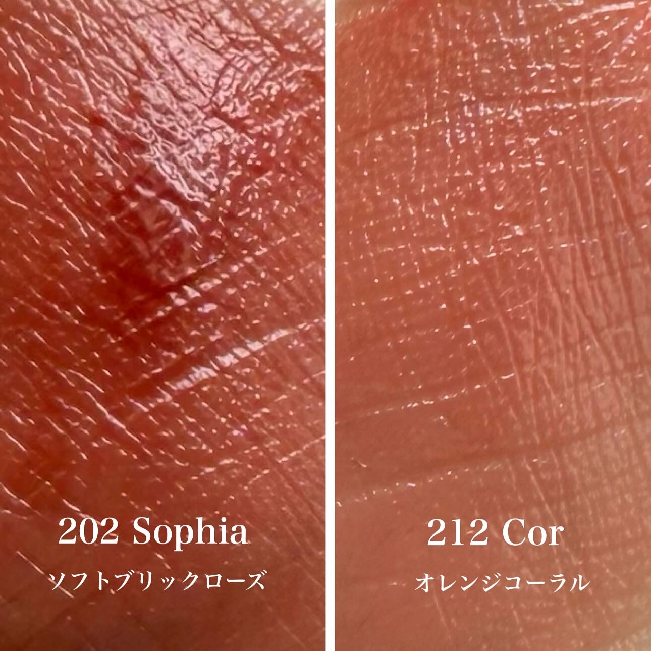 ブラーグロイリップティント 212 コア/Dinto/リップティントを使ったクチコミ（3枚目）