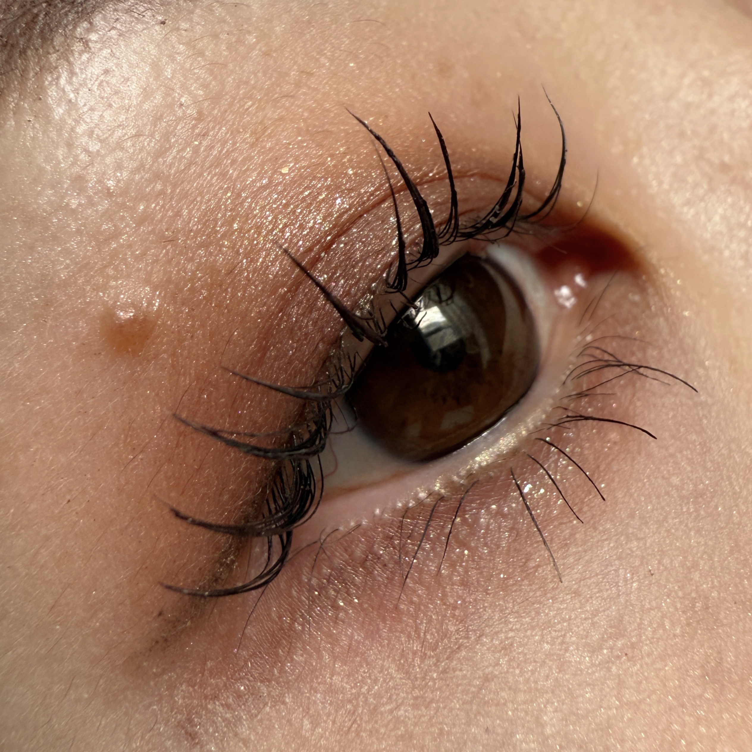 ライトオンアイズシャドウパレット/ルミル/アイシャドウパレットを使ったクチコミ（1枚目）